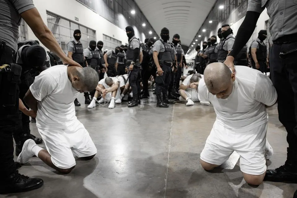 TECOLUCA, EL SALVADOR - MARCH 16: In this handout photo provided by the Salvadoran government, inmates allegedly linked to criminal organizations knee on the ground at CECOT on March 16, 2025 in Tecoluca, El Salvador. Trump's administration deported more than 230 alleged members of the Venezuelan criminal organizations 'Tren De Aragua' and Mara Salvatrucha. (Photo by Salvadoran Government via Getty Images)